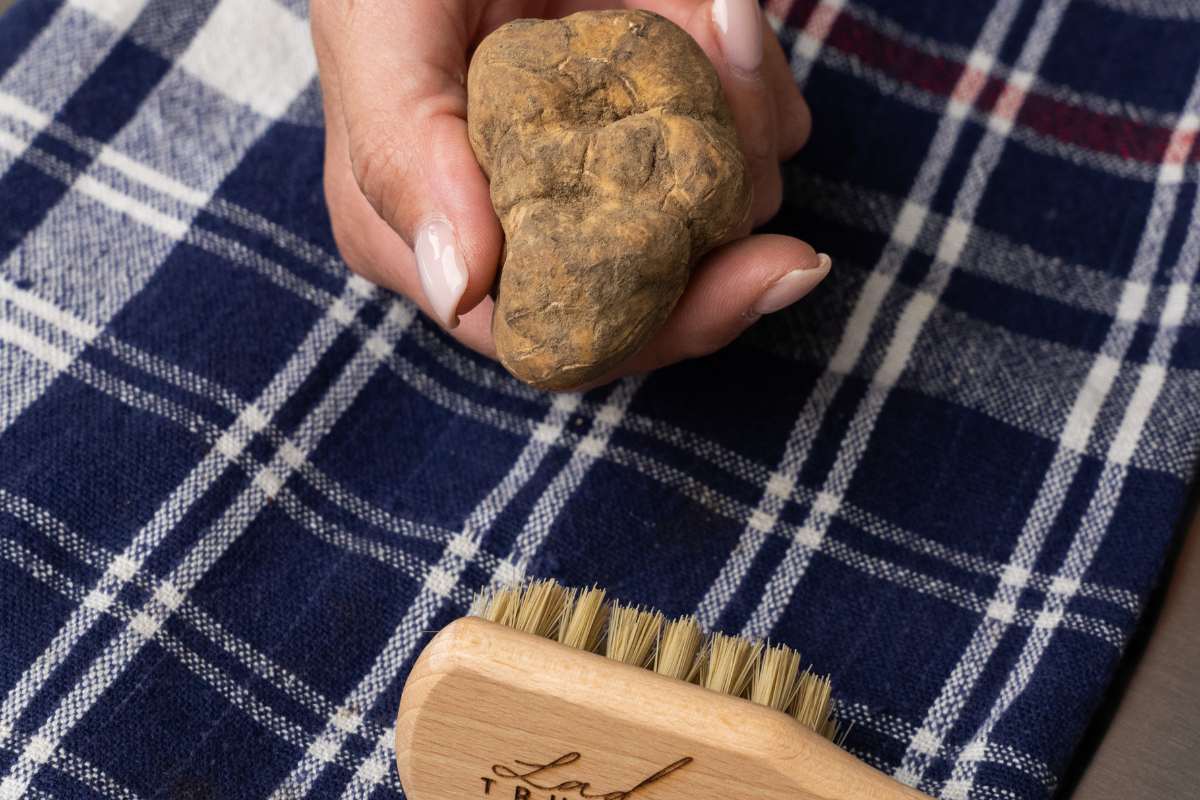 Come conservare il Tartufo Bianco Pregiato
