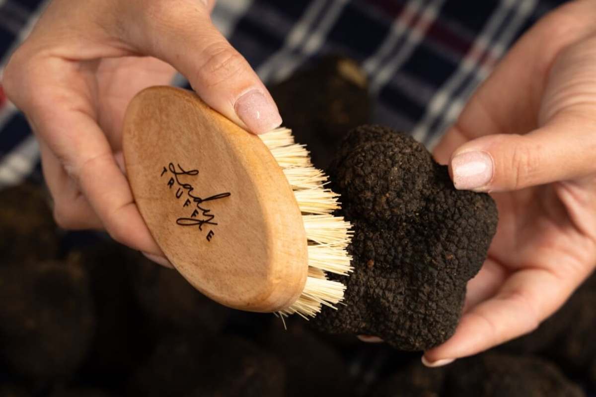 Come pulire il tartufo senza rovinarlo