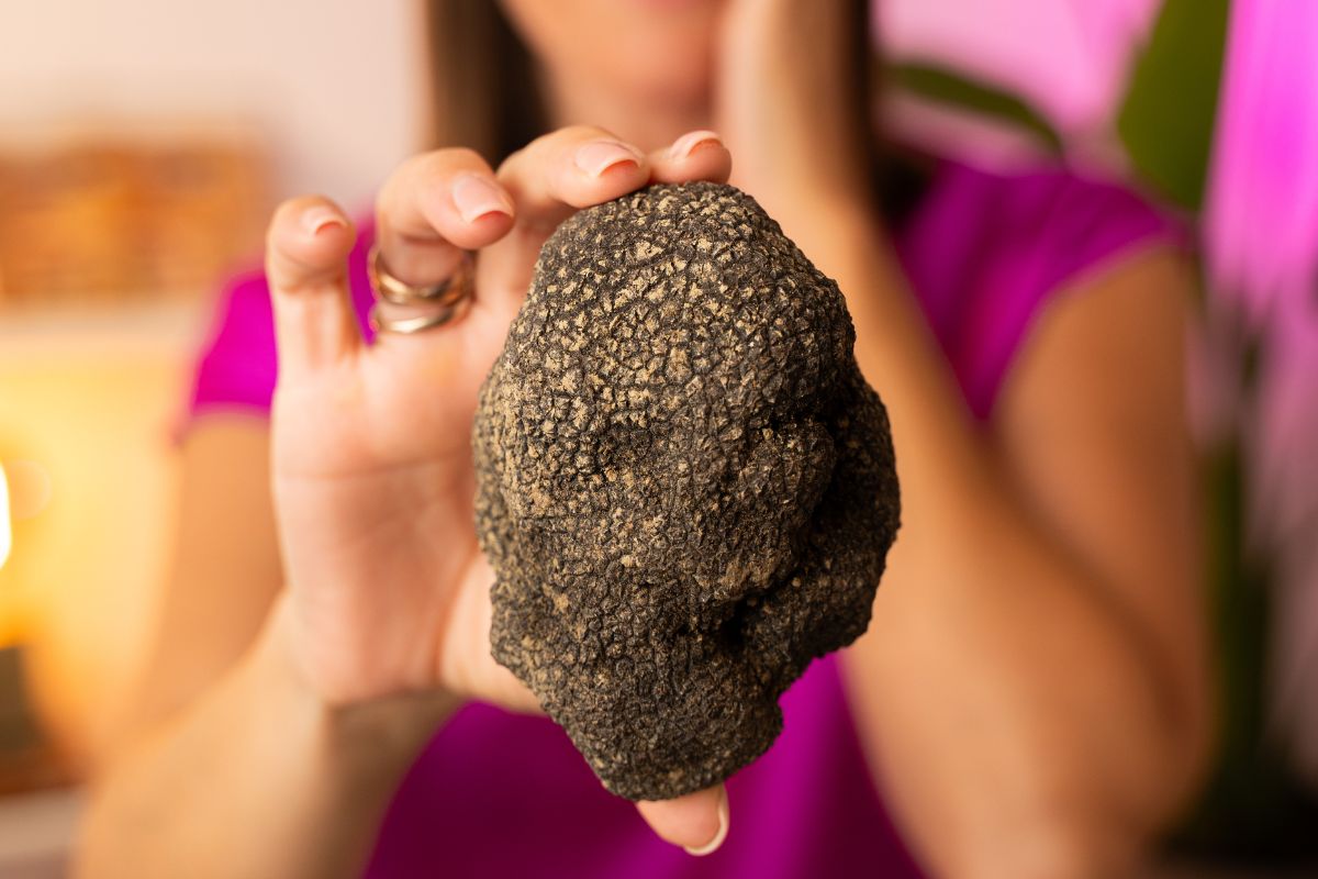 Proprietà nutrizionali del tartufo: i benefici del diamante della terra