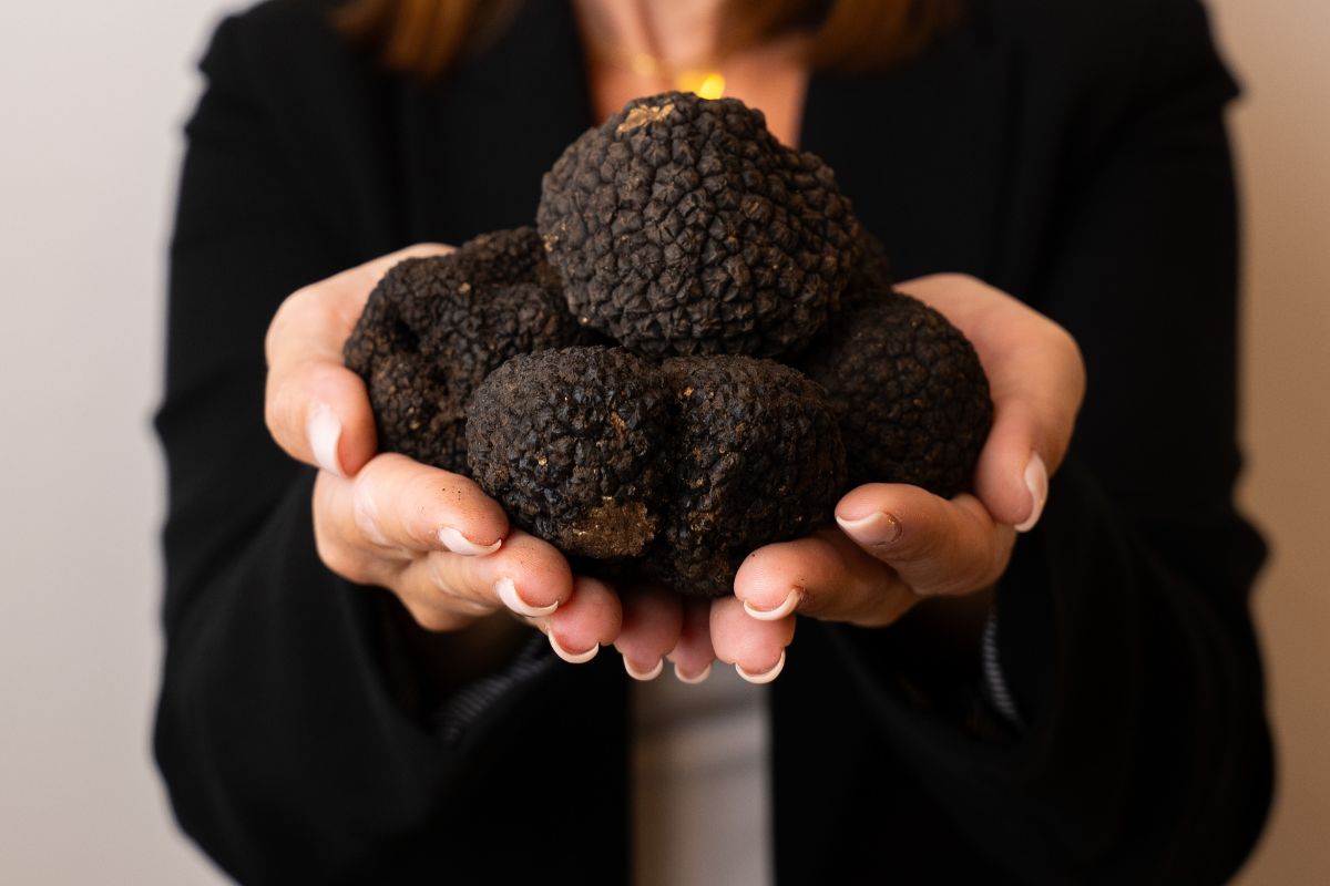 Vendita Tartufo Lusso Quotidiano