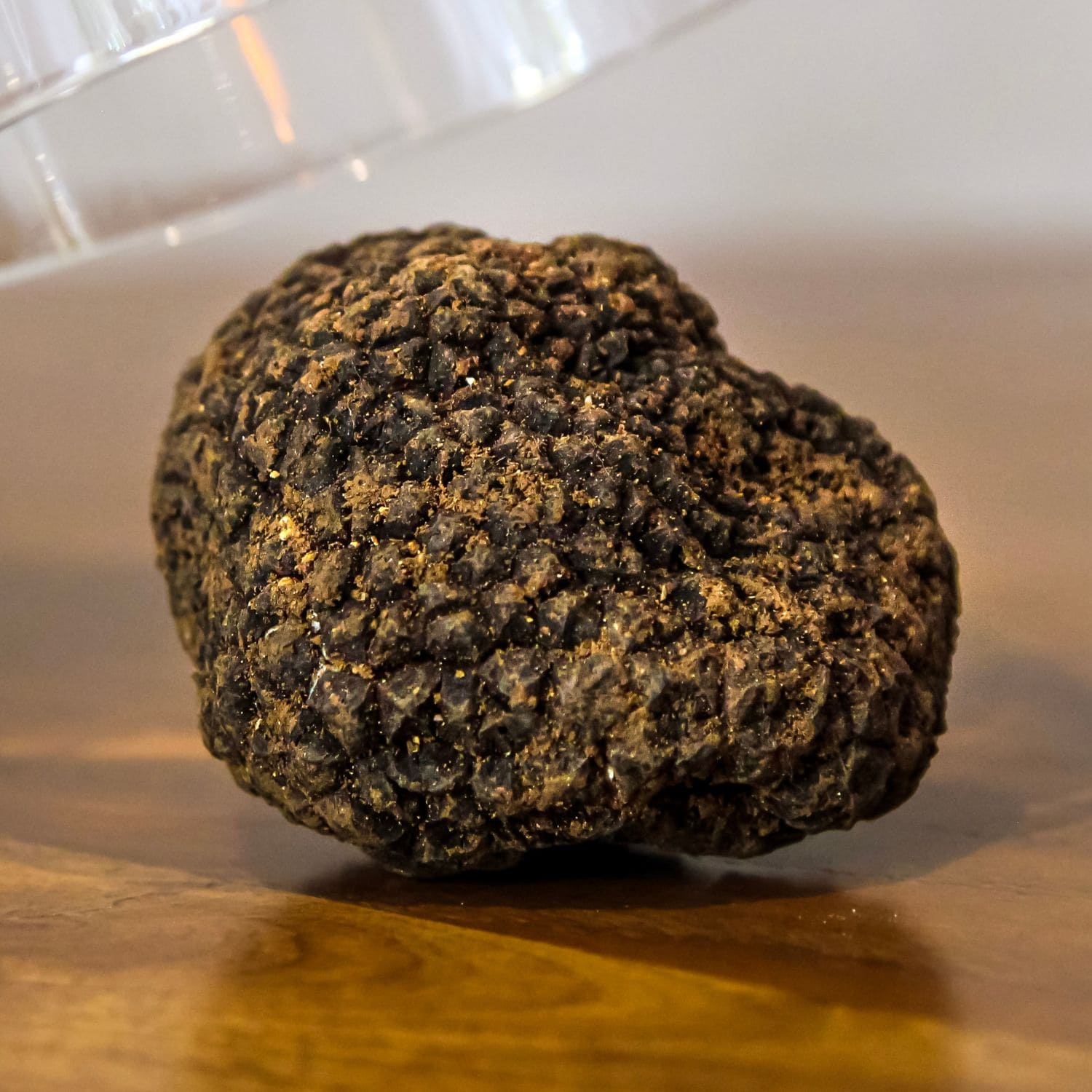 KIT Start Pack - Affetta tartufi + Microplane + Spazzola + Tartufo Nero Pregiato