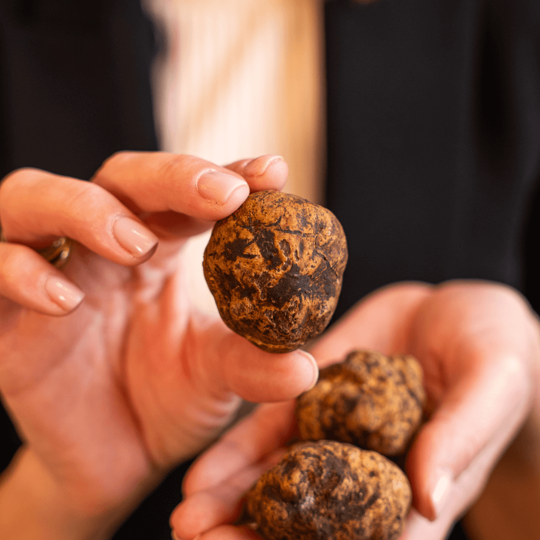 Tartufo Bianchetto + Burro al tartufo in omaggio
