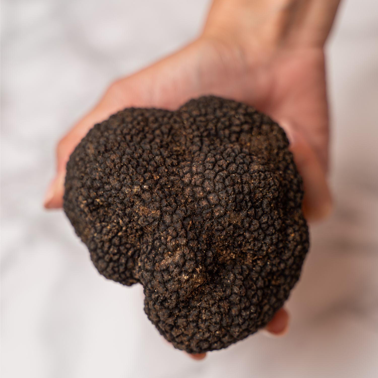 KIT Start Pack "Affetta tartufi+Microplane+Spazzola+Tartufo Nero Estivo 1°scelta"