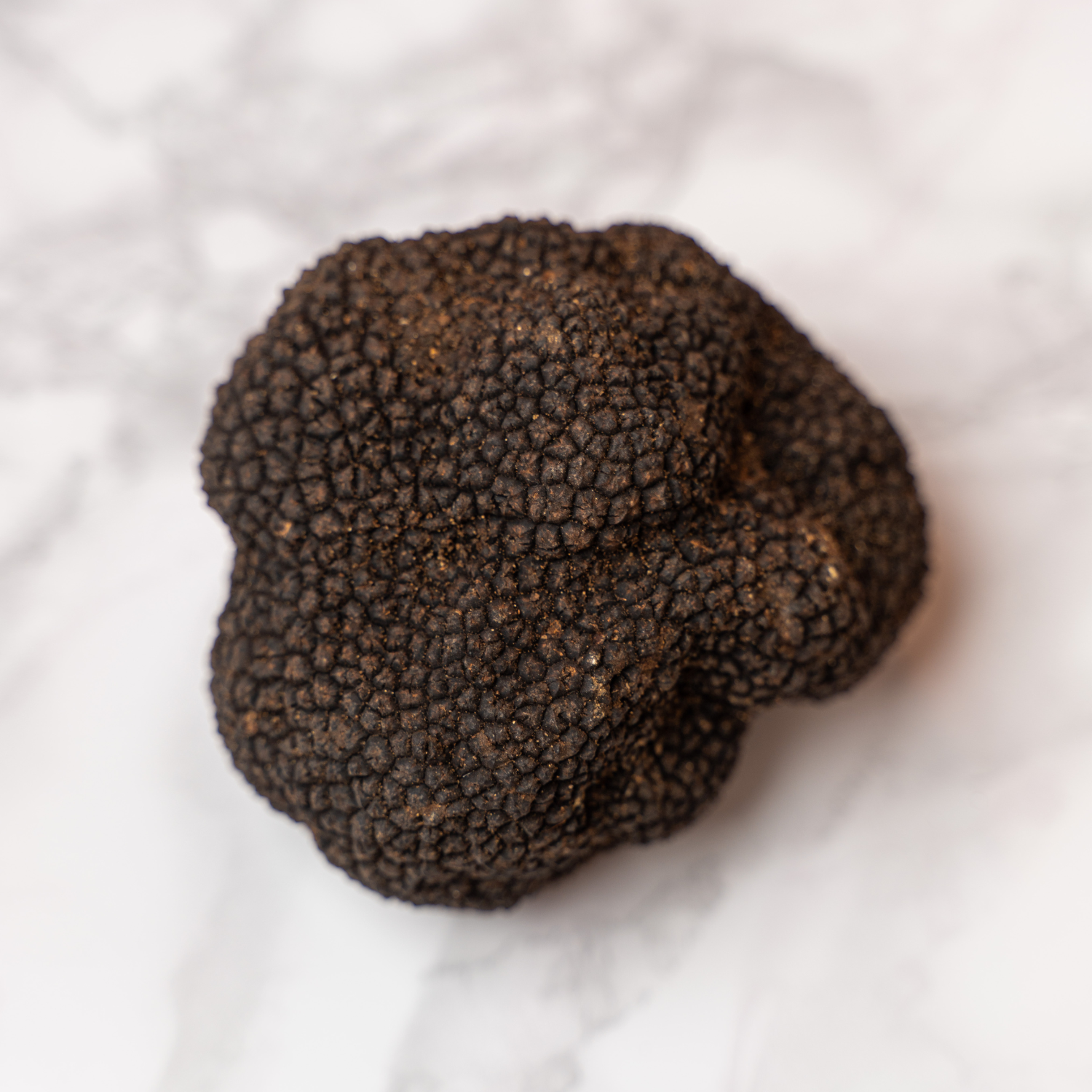 Tartufo Nero Estivo + Burro omaggio