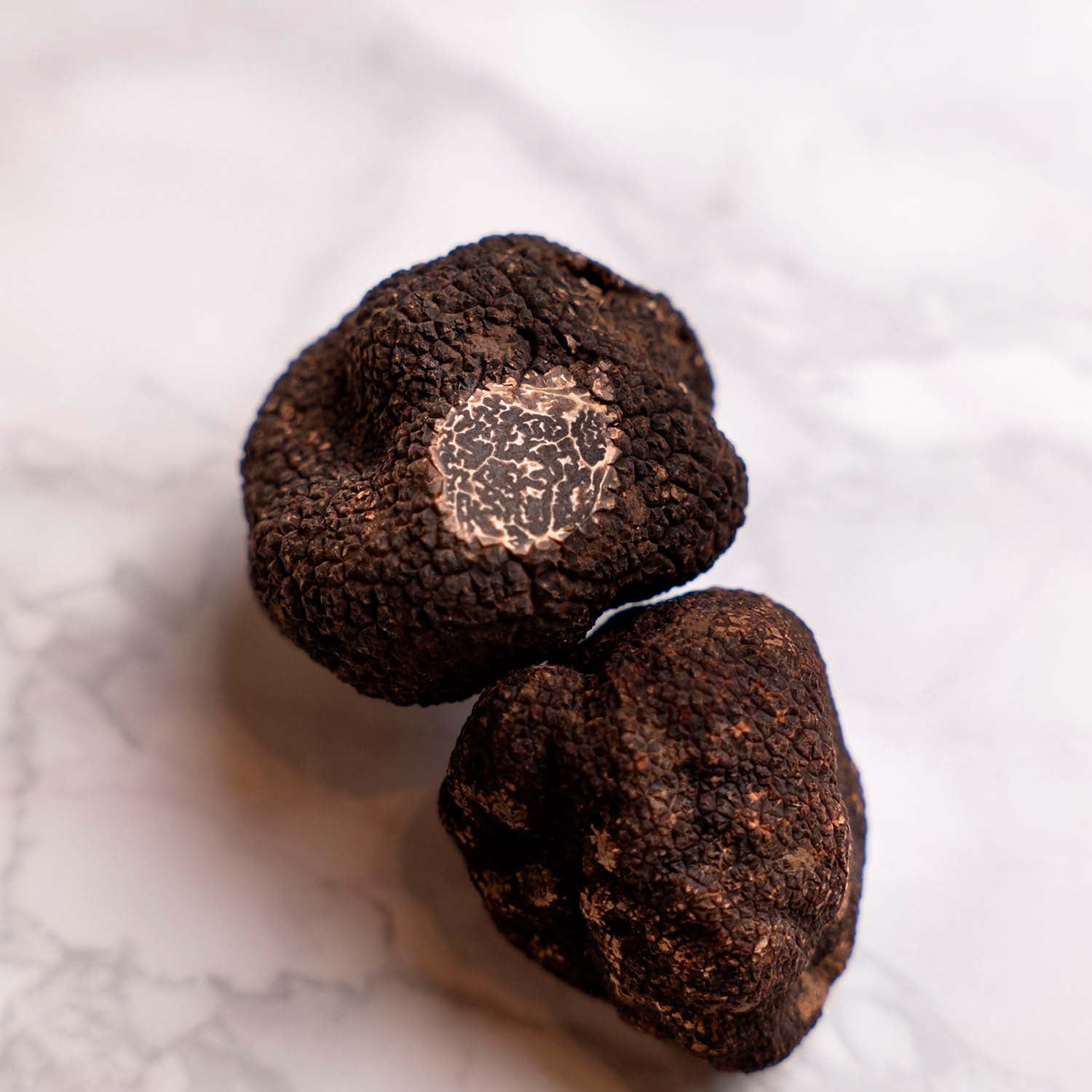 KIT Start Pack - Affetta tartufi + Microplane + Spazzola + Tartufo Nero Pregiato