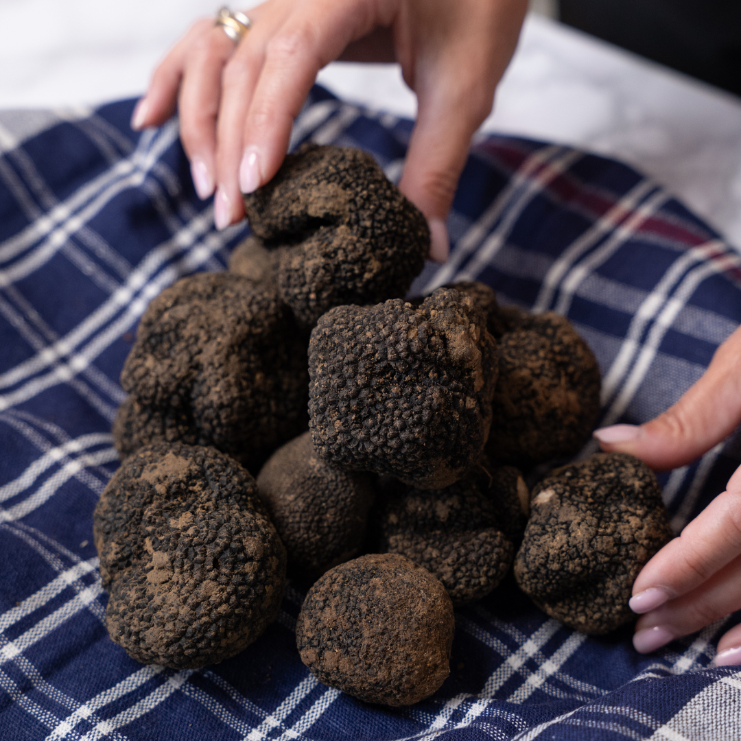 Tartufo Nero Uncinato + Burro omaggio