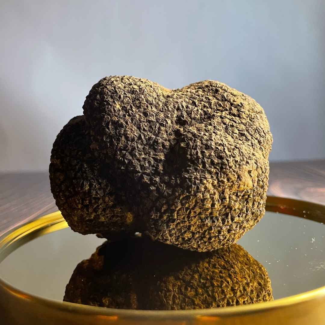 KIT Start Pack - Affetta tartufi + Microplane + Spazzola + Tartufo Nero Uncinato