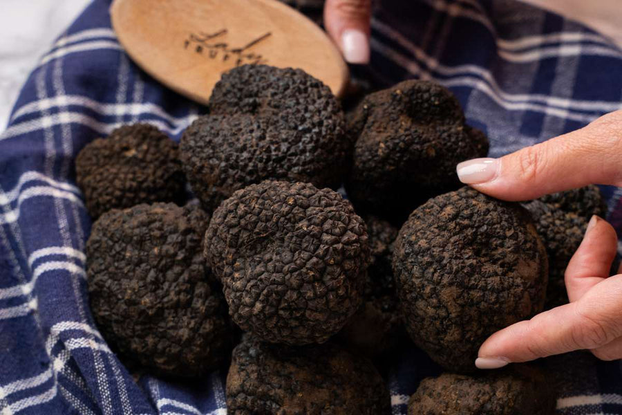 Come Cucinare il Tartufo Estivo Scorzone: Guida Definitiva