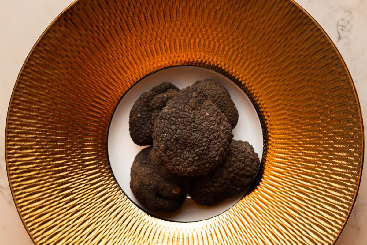 Pasta al Tartufo Migliori Ricette