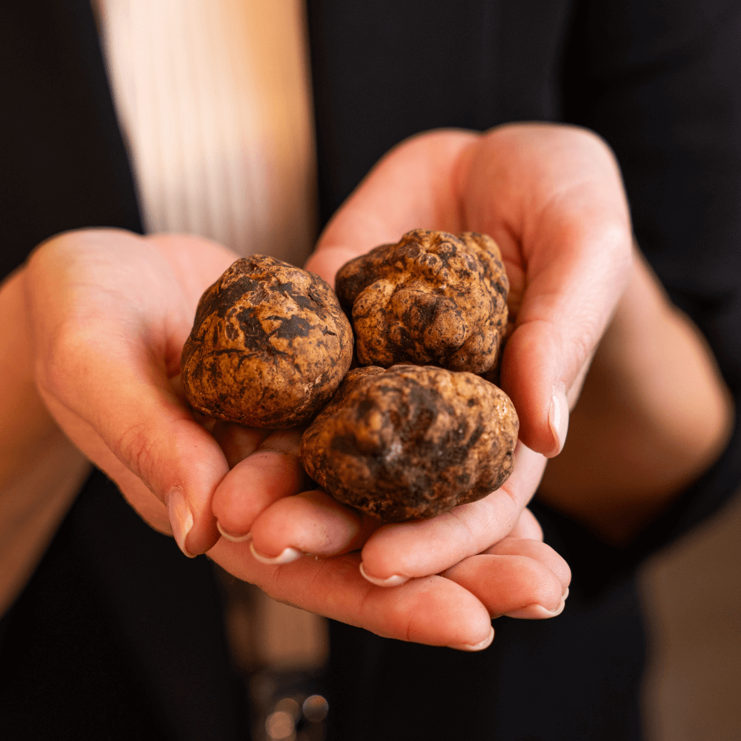 Tartufo Bianchetto + Gocce di bosco omaggio