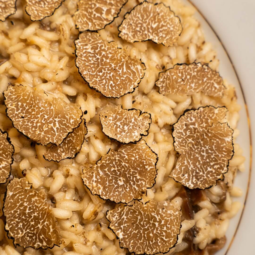 Tartufo Nero Uncinato + Burro omaggio