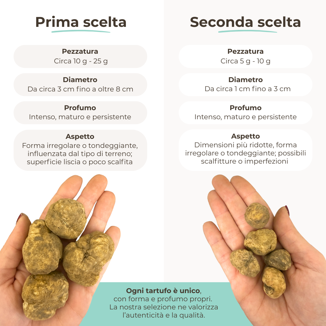 Tartufo Bianco + Truffle Slicer omaggio