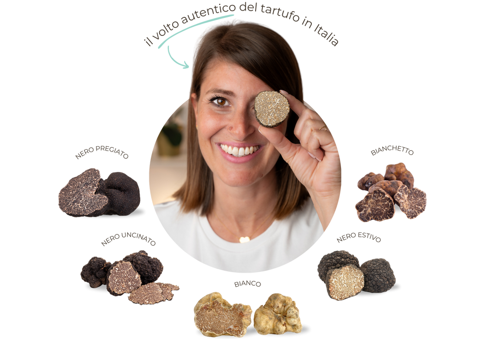 Lucinda Top Truffle